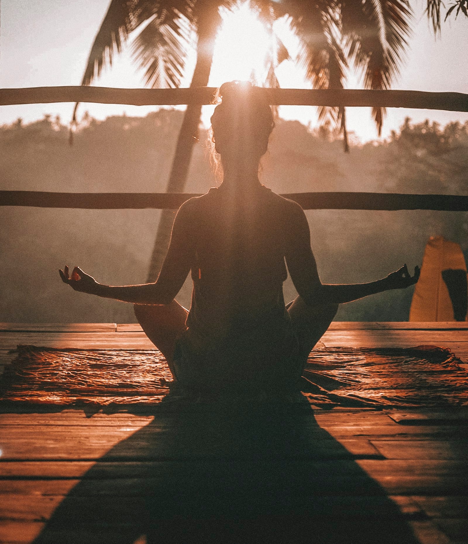 Detox Corporal: Limpia tu Organismo con Sueroterapia